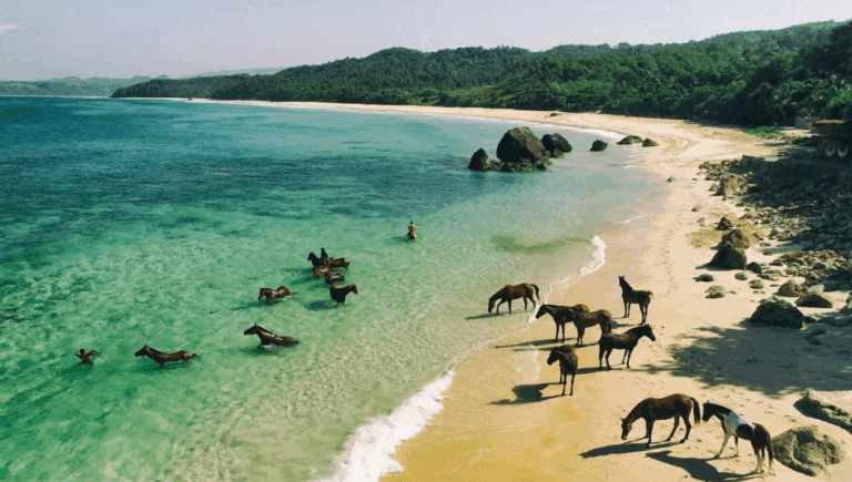 Wisata NTT, Pesona Pulau Sumba Inilah 5 Tempat Wisata Jadi Lokasi Syuting Film Susah Sinyal